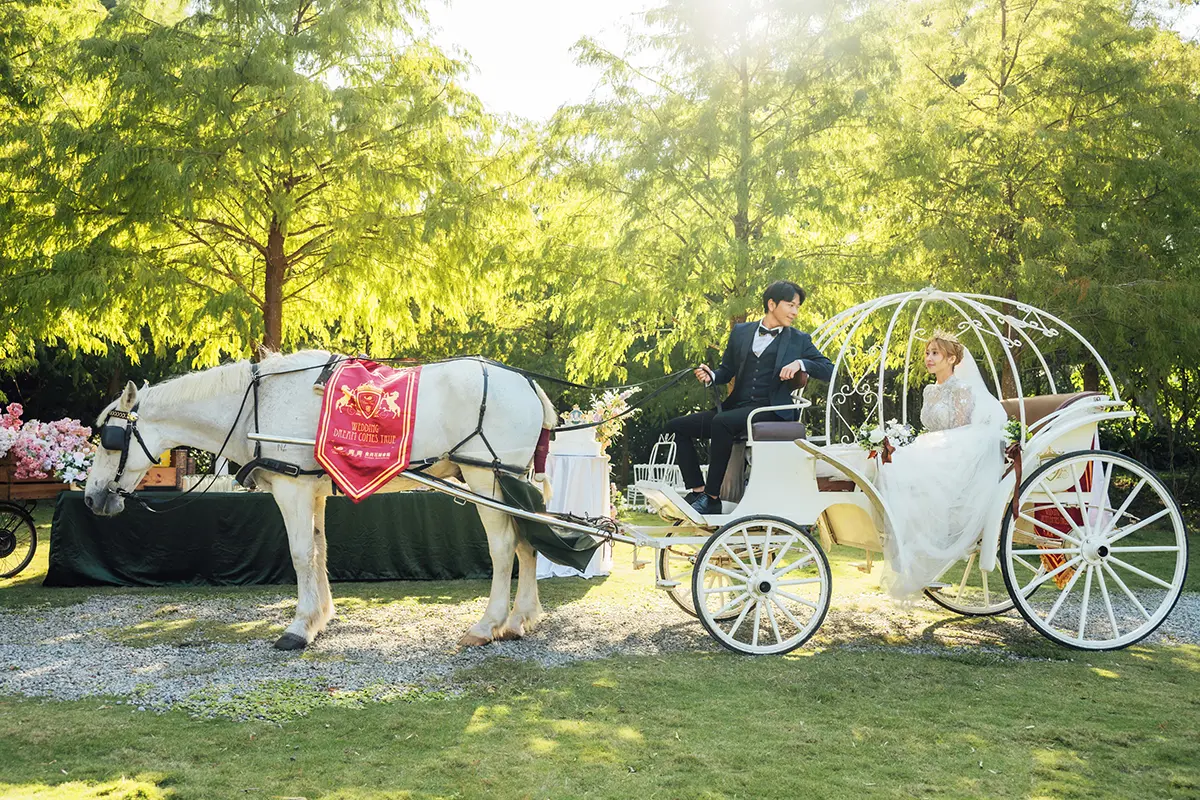 馬車婚禮