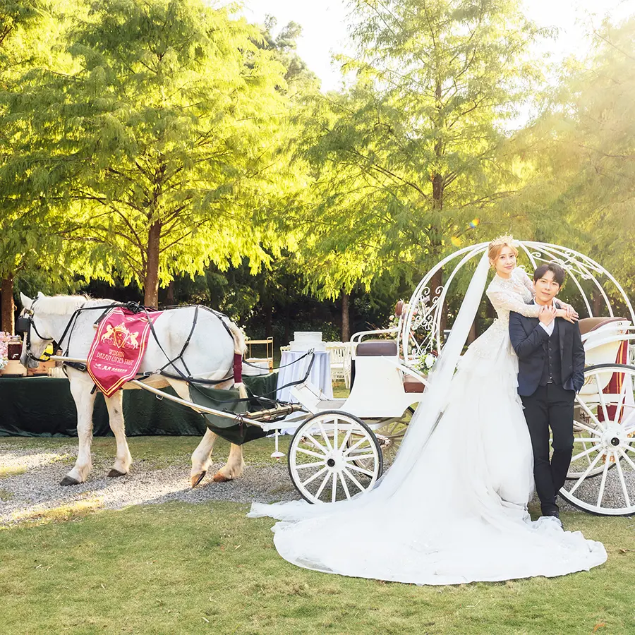 童話馬車婚禮